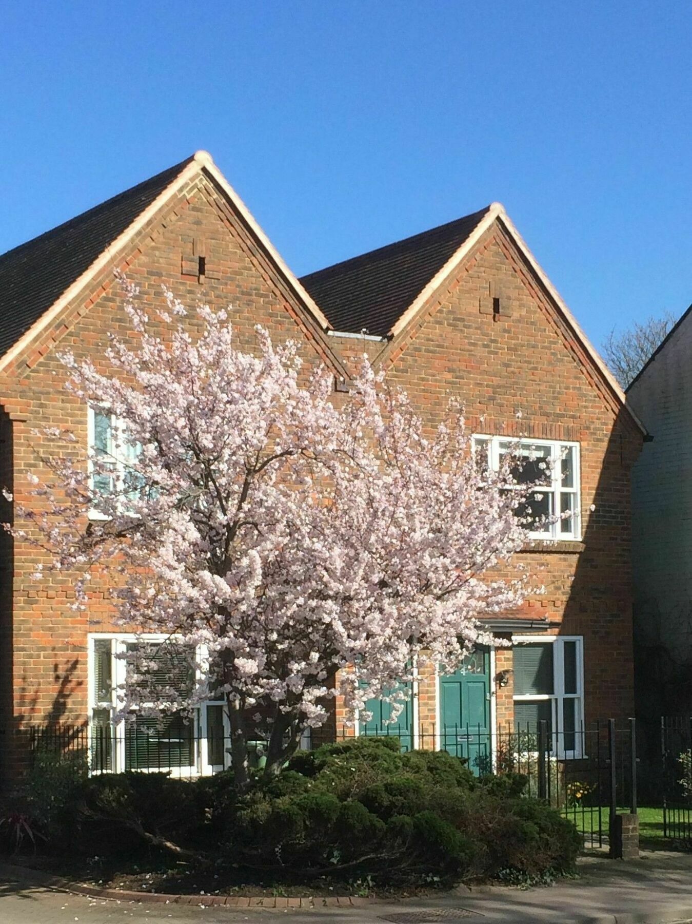 3 Summertown Court Oxford Exterior foto